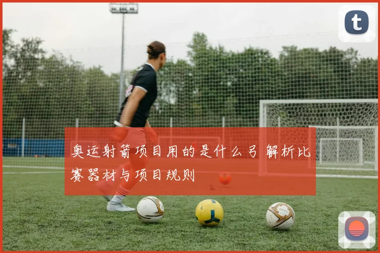 奥运射箭项目用的是什么弓 解析比赛器材与项目规则